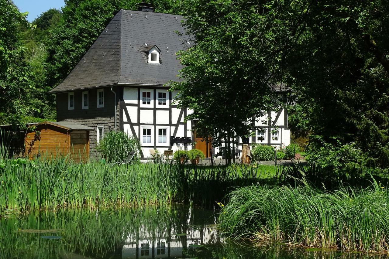 Ferienwohnung "Kleine Auszeit" Ольсберґ Екстер'єр фото